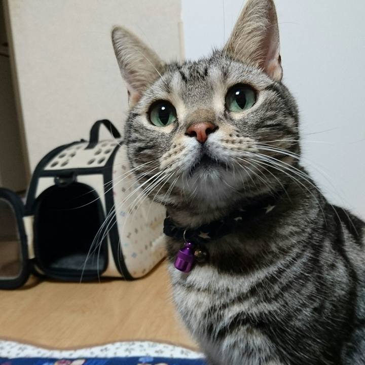 6e0878bc 0d6a 49c2 9645 5cf69242c5ed