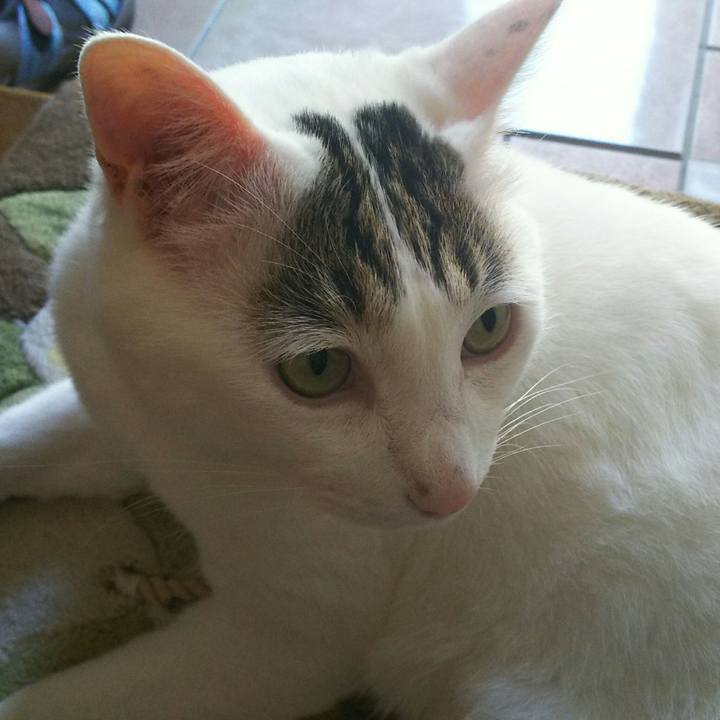 6e089abb 09e4 483f 8567 b03330f3fa3d