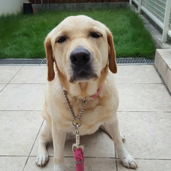 6e08f182 782c 453a bf7a 2c67e0a11b0a