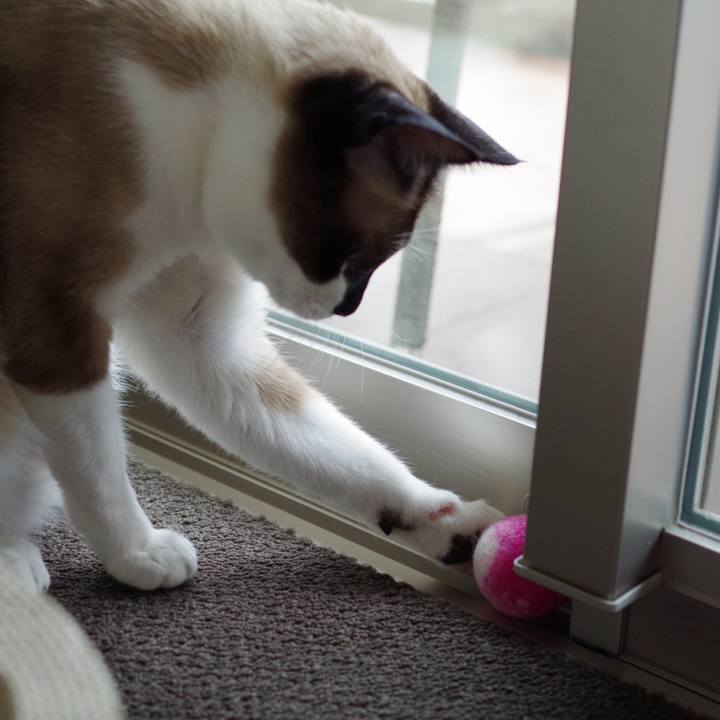 6e08fff4 3e31 4a5d 9509 df83dd70a9bb