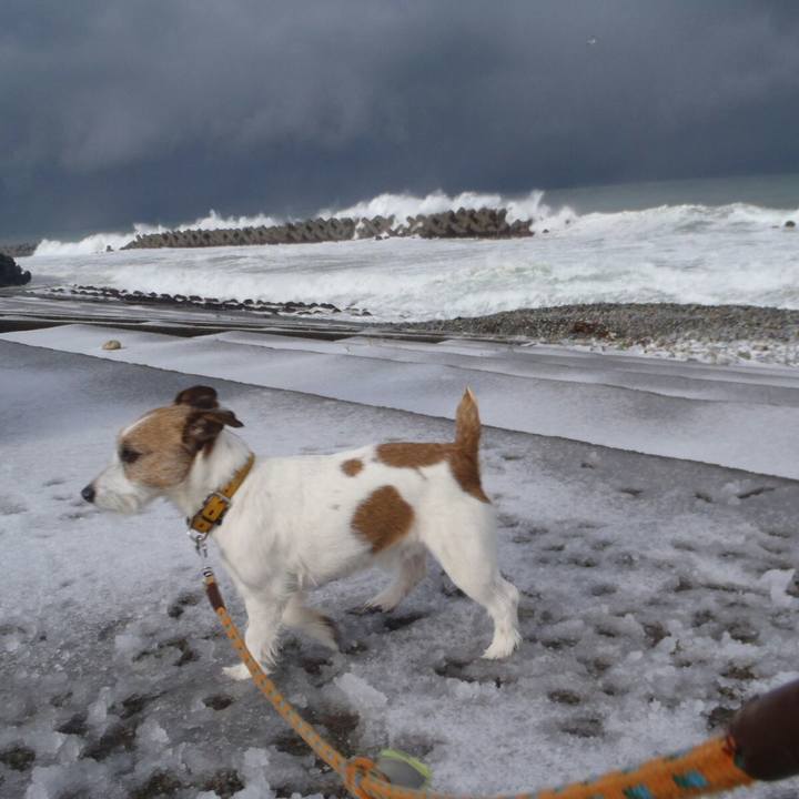 6e0939cd a642 4fc8 8fbc 9492280616c4