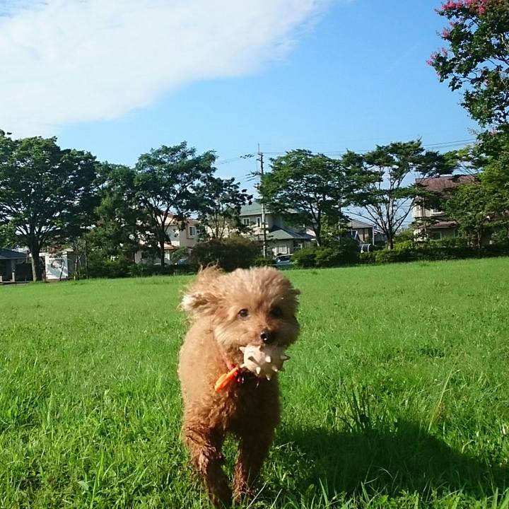 6e0955c3 8009 436e a2fc 5a8dda1cee43