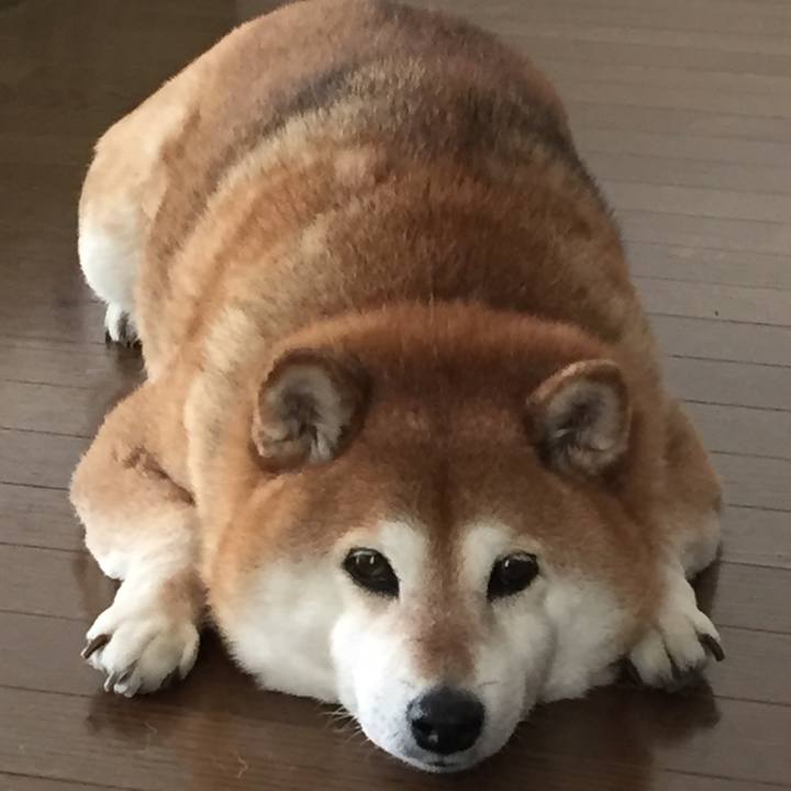 6e09f668 c858 4f0c 9fbe 877aaa2f87a6