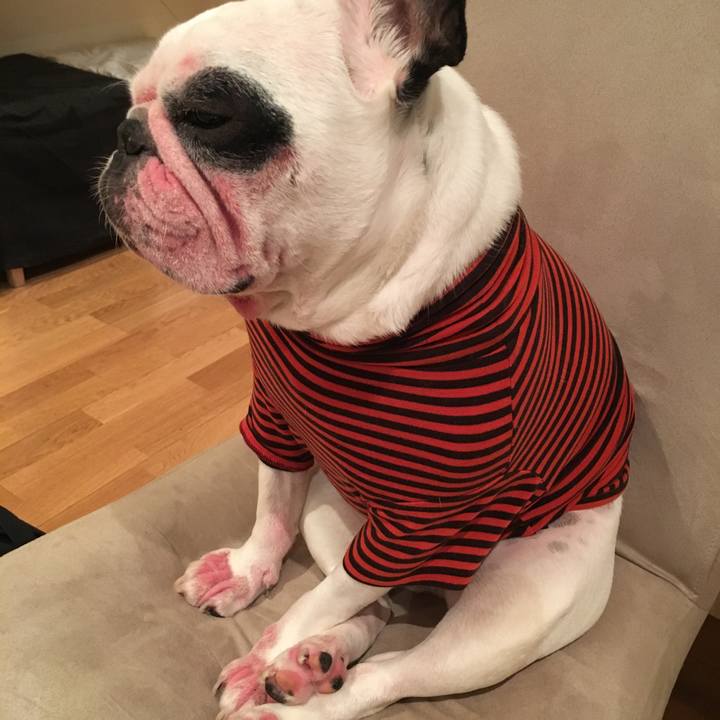 6e0a1d65 f9f2 49c6 9c8c fbecdb800ce2