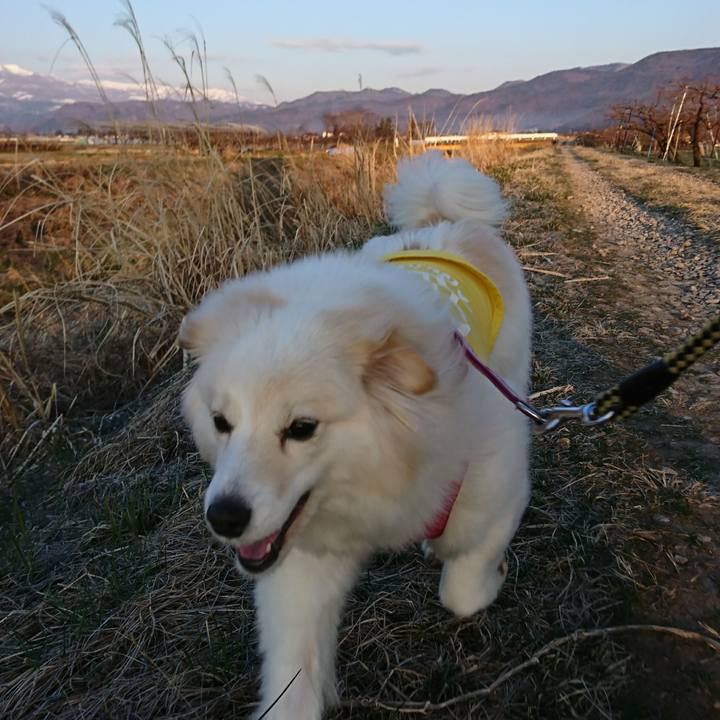 6e0a6790 e4f9 4a56 875a e7dd66c5bec4