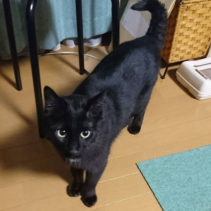 6e0aa924 130c 4439 9422 eeab8194d30c