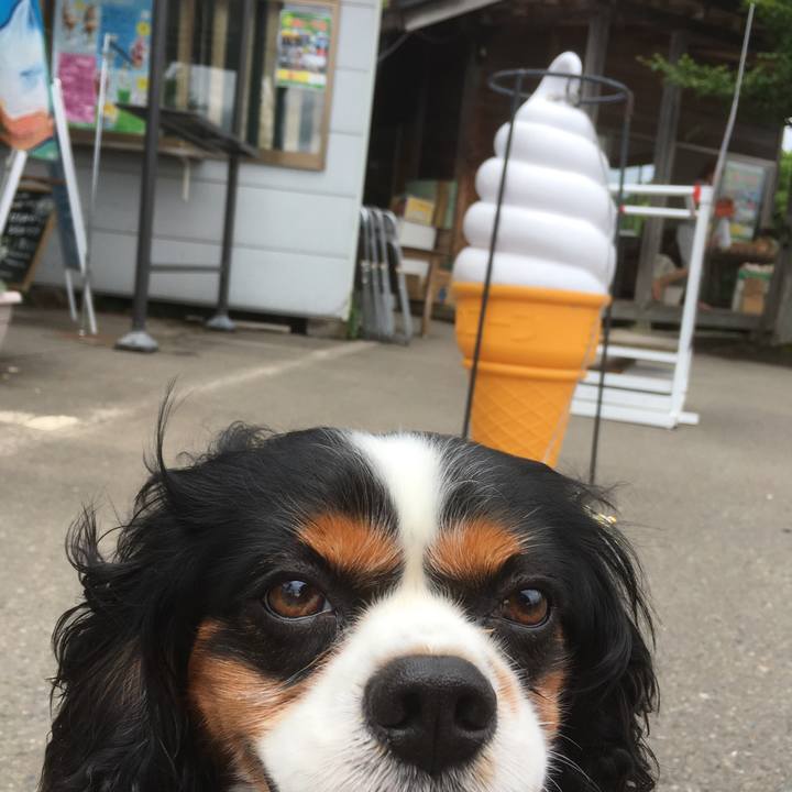 6e0ac8b7 6b97 4e3c be5b 7d90f1cfb188