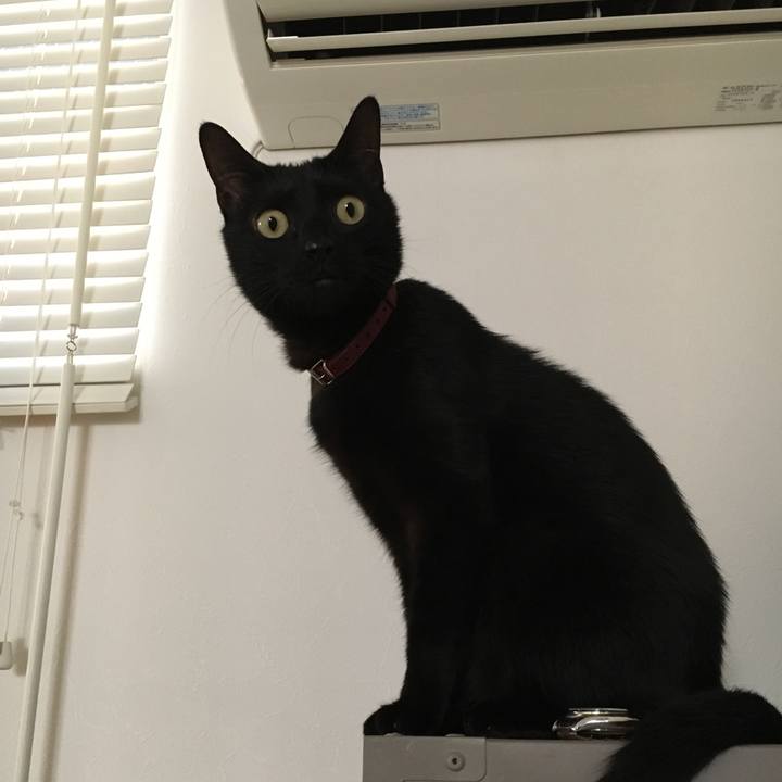 6e0b32dc 21ba 490f 89c5 9df54395eeff