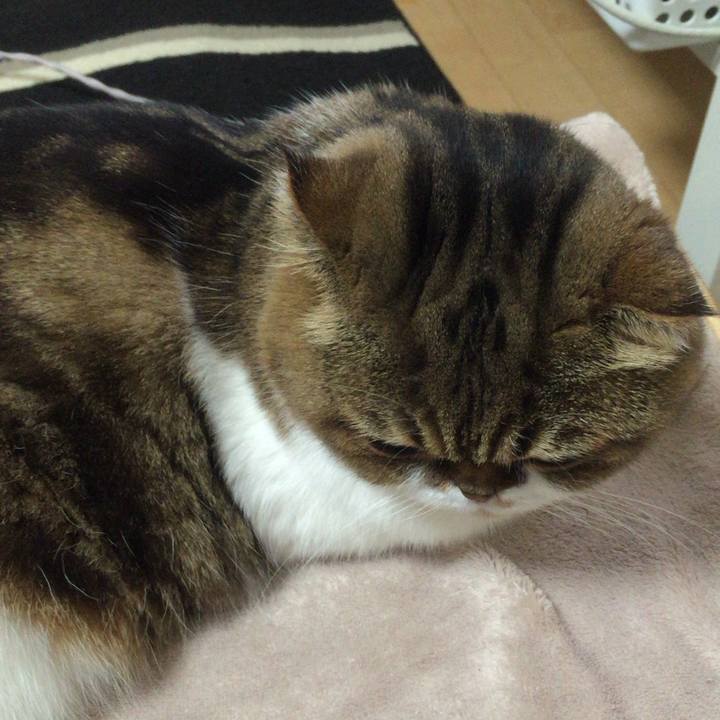 6e0bec32 9703 4b5f 87fc 97897a6dc02d