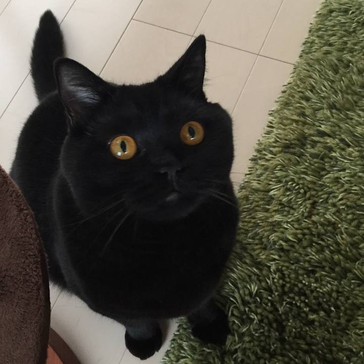 6e0bf1b2 5caa 459c b3f2 fcced1335fd3