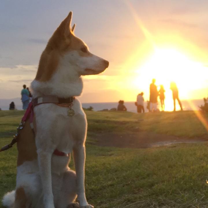 6e0c08bd f28d 4578 b1bb 2a4e1d2f0f87