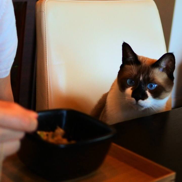 6e0c2d28 b923 4a51 910c 6759c83b43b2