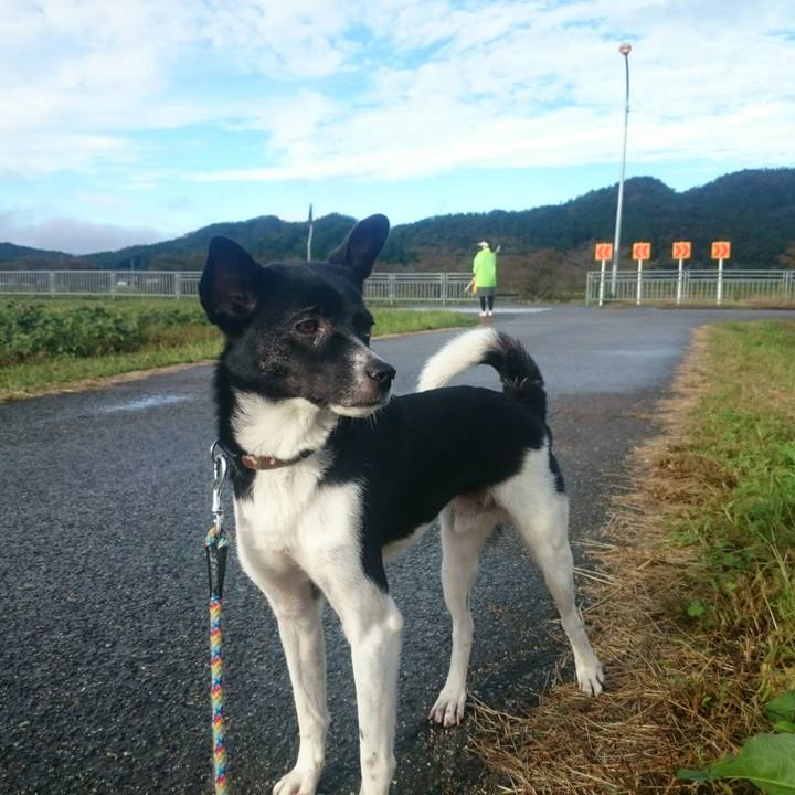 6e0c85a5 60ff 4f72 99b5 bc2fb8668dd6