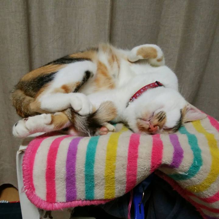 6e0d5d4b 4292 4e94 9ee3 c1158a02f839