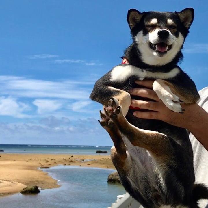 6e0dded5 b848 42af 9a5c e2646eaa2ee2