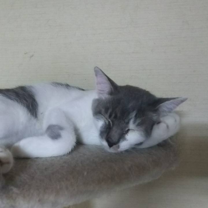 6e0e2e06 c37f 4d9e 9359 645430397258