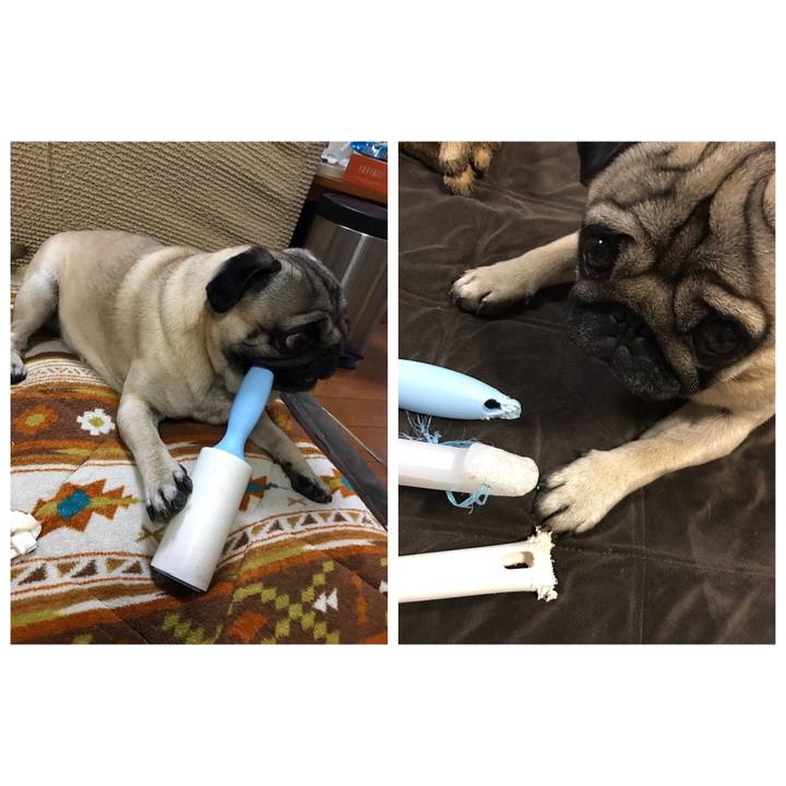 6e0ea885 8efd 4219 ae60 6de95ea318b0