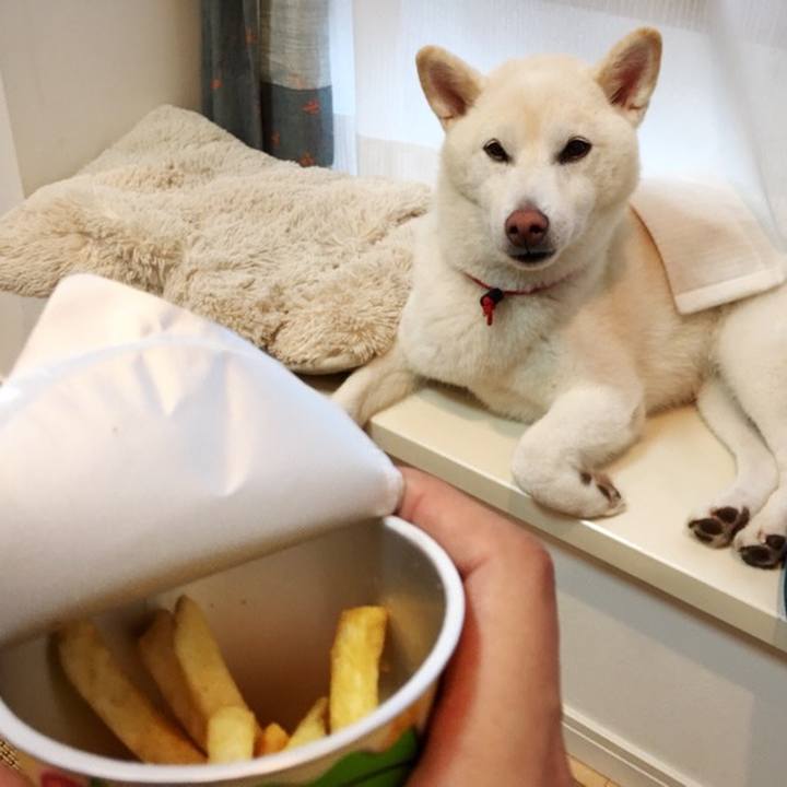 6e0eaabc dc62 4f36 8379 587244a33fc5