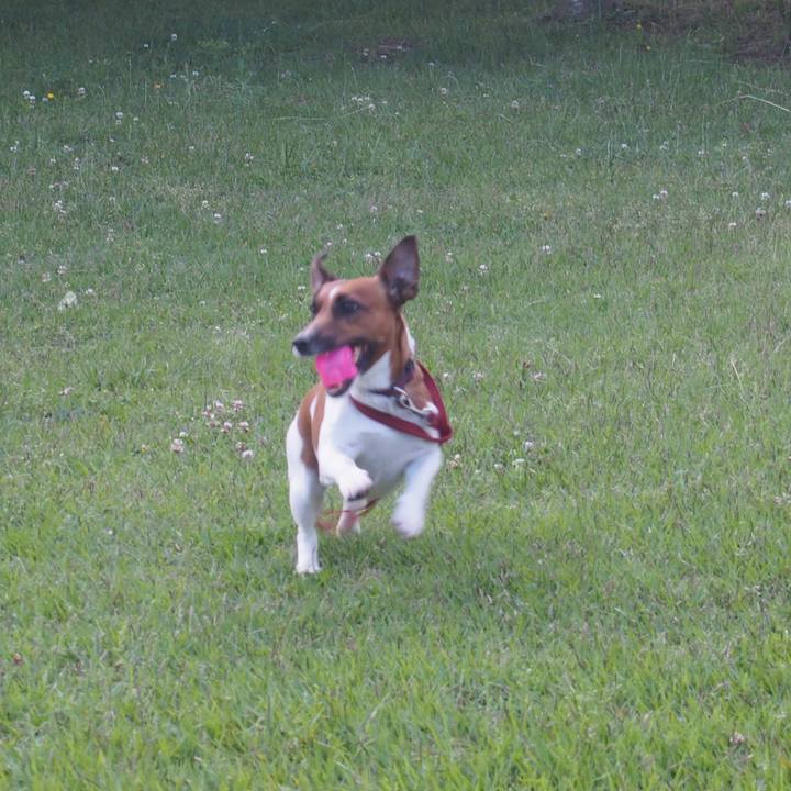 6e0eacf8 f368 47b0 8601 d0b9c0558d9c