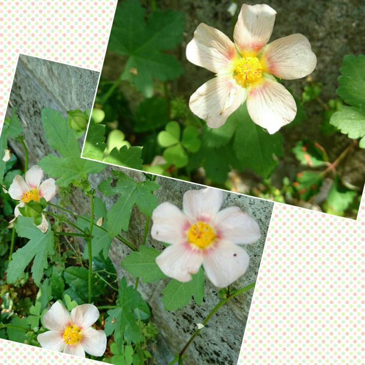 6e0ec8b8 ca57 4956 a48e 44cd849b4508