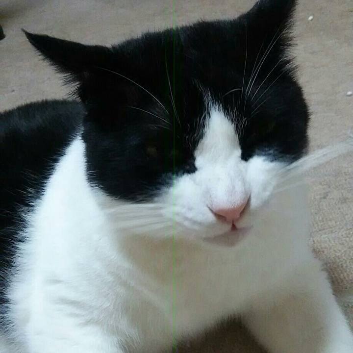 6e109b56 37cd 4109 97dd 02c1ac2f0022