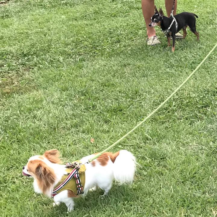 6e116f52 8aa1 47d9 a88b 5a27eb884a01