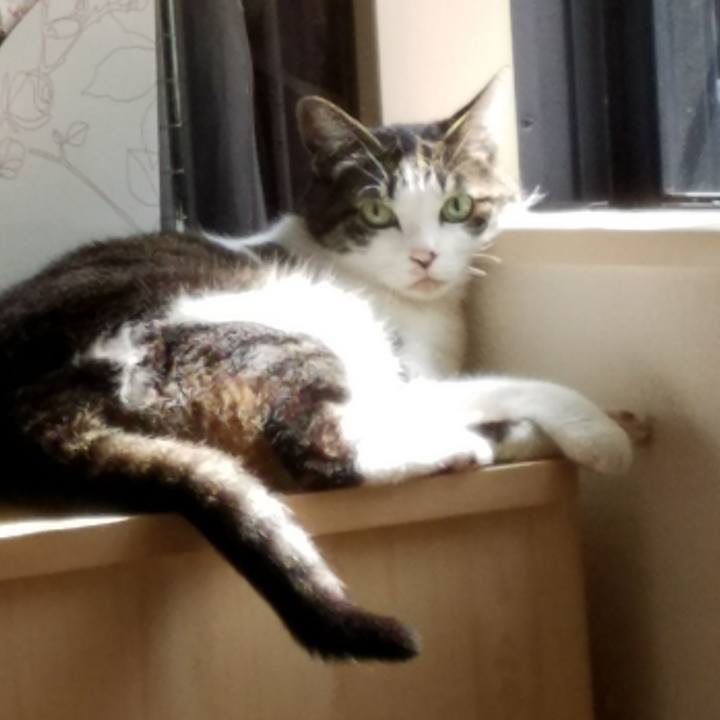 6e11bbc3 d58e 405c 9af1 e65743d9e82b