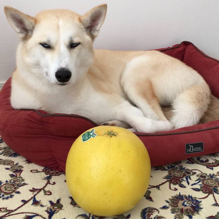 6e126ff8 868c 4b3c 9c78 5388ed94488d