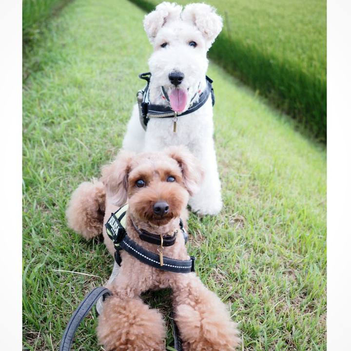 6e131e0a 1654 4aaa afda 85399f34d2f5