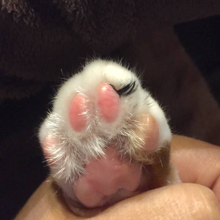 6e132d5a 0f93 4783 804e 36da7a469dff