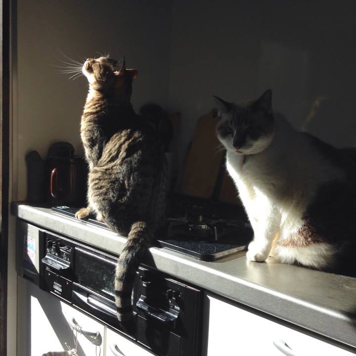 6e13af50 21c8 4ad9 9683 4e54d0e3e20b