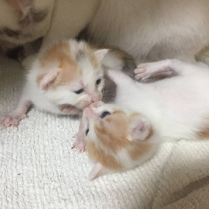 6e13df54 d97f 495d b645 4578445c5a0f