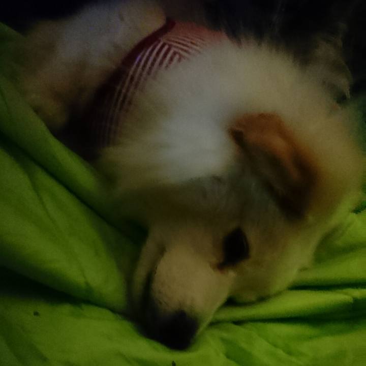 6e1428a1 40e0 4cb0 8b7b e8f46c73995c