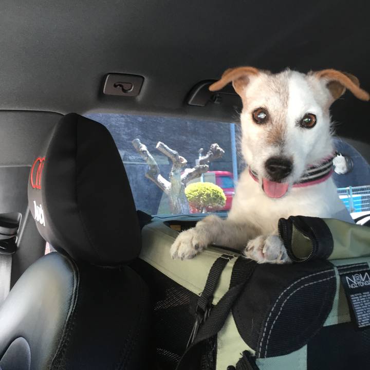 6e14796a 4724 48ce a6fd 803295e0612f