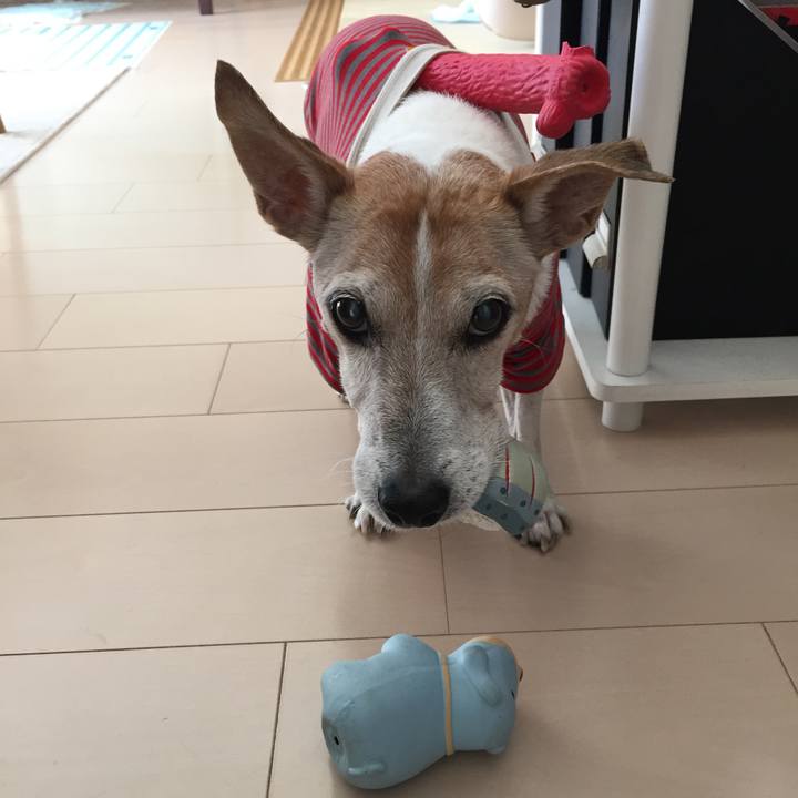 6e149449 aefd 4999 898b bdc52bbd7b13