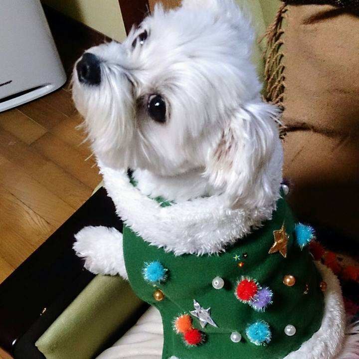 6e14a937 ac04 4599 b1c3 03a865165f5a