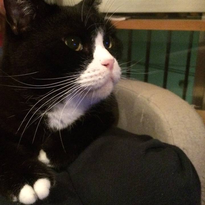 6e14e72c baff 4415 a308 5ddb1376b619