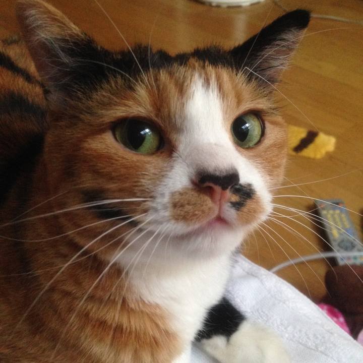 6e14ebe9 1ce4 42a6 b6e7 5ac3f303eb26