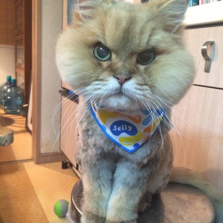 6e158440 915c 4255 8b21 cab389d2c380