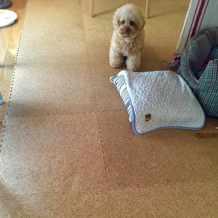 6e15e297 4cd2 4caa 9226 e69e651b5120