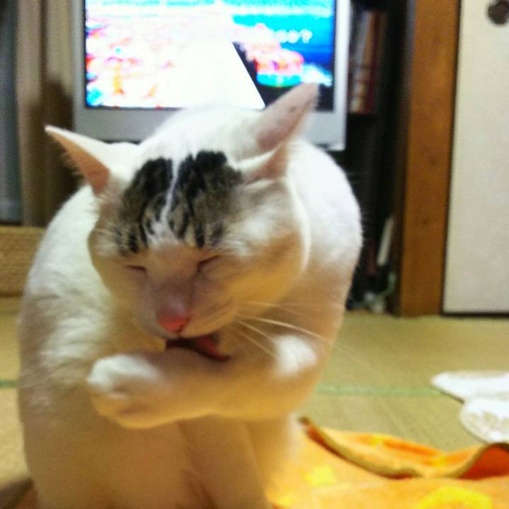 6e16c8df 201a 4ad1 bb69 9e43367fc2ae