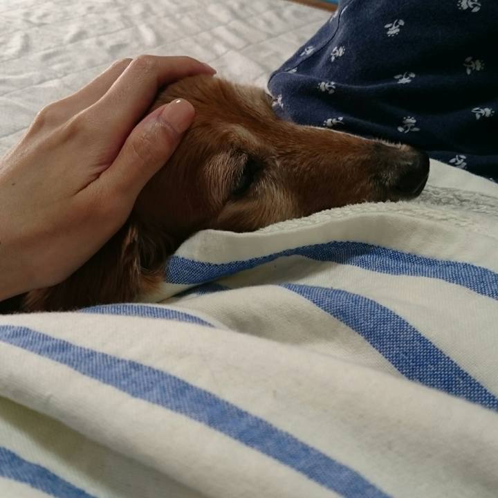 6e17387c 83c1 4eeb 8512 155995bea5f7