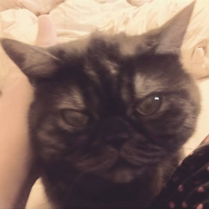 6e180892 e2e3 4df7 81aa 96b2c329ebc9