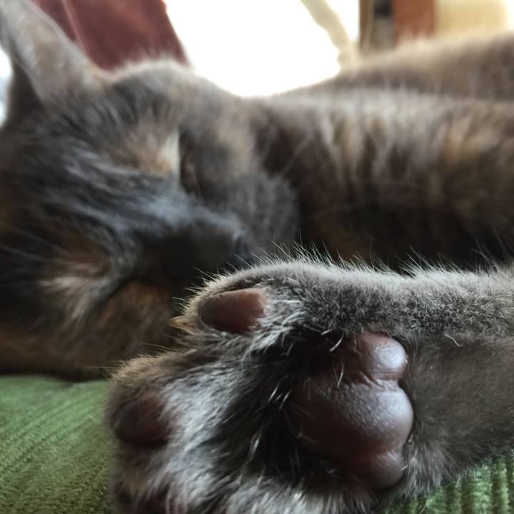 6e185d86 49f9 4e75 bfe5 b2e5201f2088