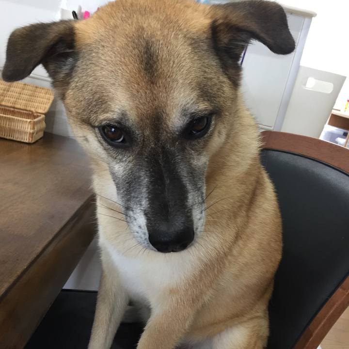 6e190b6e 8ae8 4fec be27 70ba211e52ec