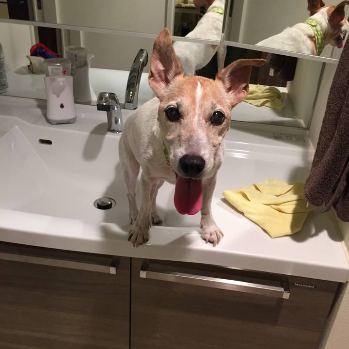 6e19a789 c684 4bb7 8c13 509578acf8a5