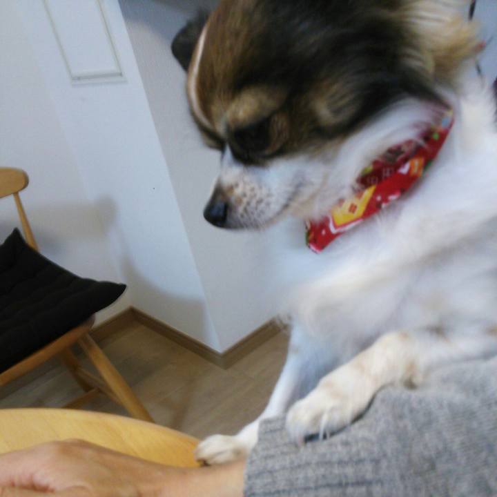 6e19bcea 68cc 4911 bd44 0b39aa0ded8c