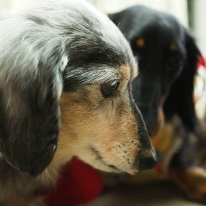 6e1a5922 7e32 403b 9a5f 510a77d4c1c3