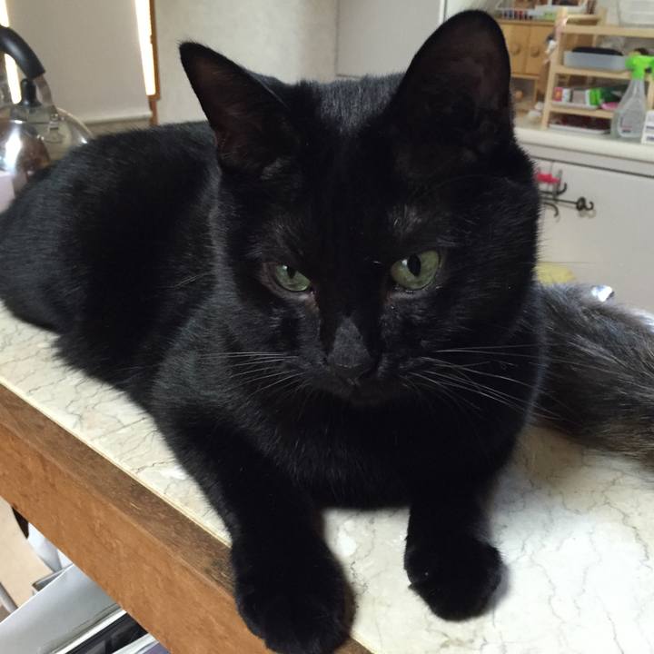 6e1a74f4 0e6a 4c8e 9fce 2a257a0ba05a