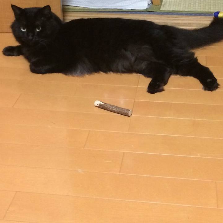 6e1a98f1 7834 4cc6 9dc9 e47a215473d5